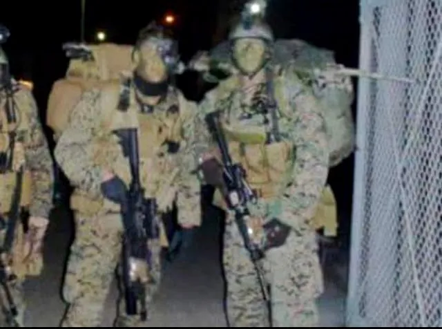 Talon on deployment, 2010
